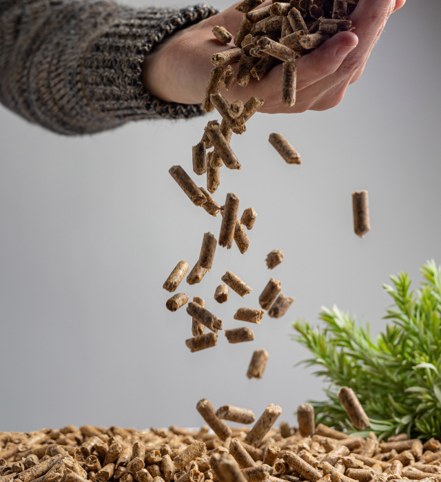 pellets_Valado_Cao mano con pellets